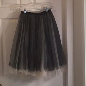 High Waisted Tulle Charlotte Russe Skirt.